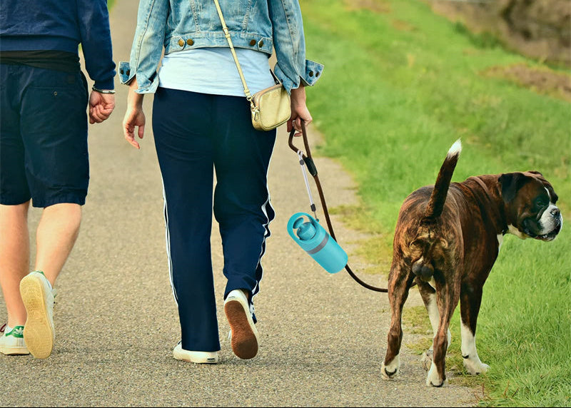 Portable Dog Pooper Scooper with Built-In Bag Dispenser